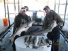 (12/19/2015) - Nice Striped Bass